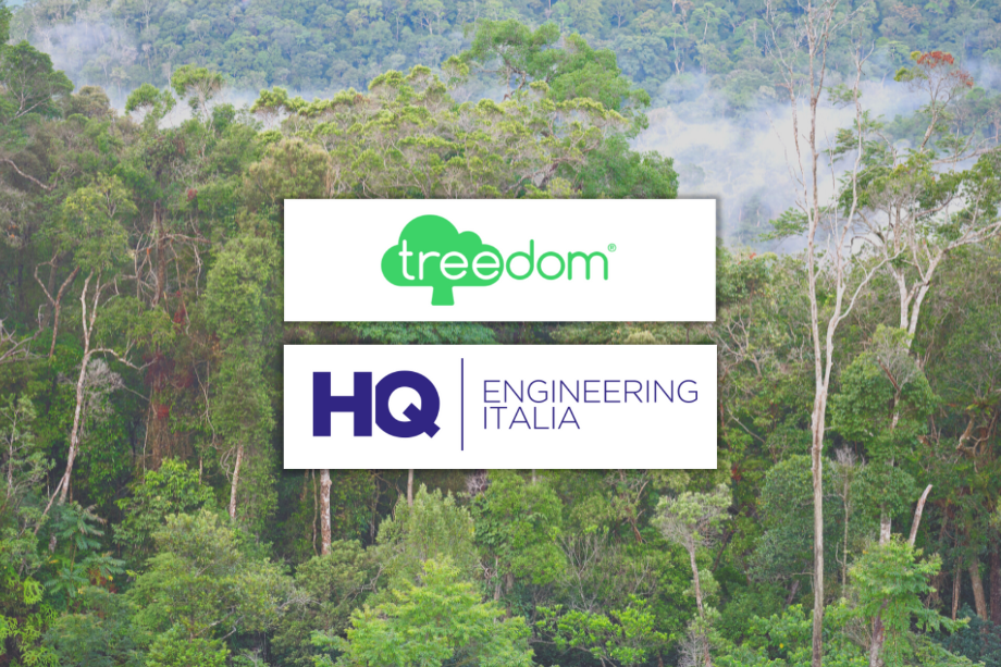 Foresta tropicale con logo Treedom