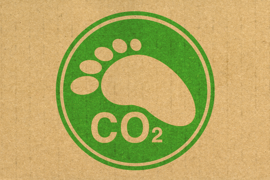 Carbon footprint dentro cerchio verde su sfondo marrone